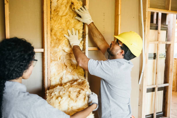 Eco-Friendly or Green Insulation Solutions in Mansfield, PA